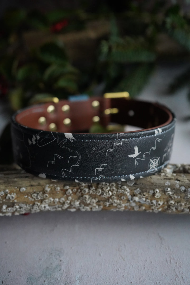 Quest - Luxury Buckle Collar - Leatherette