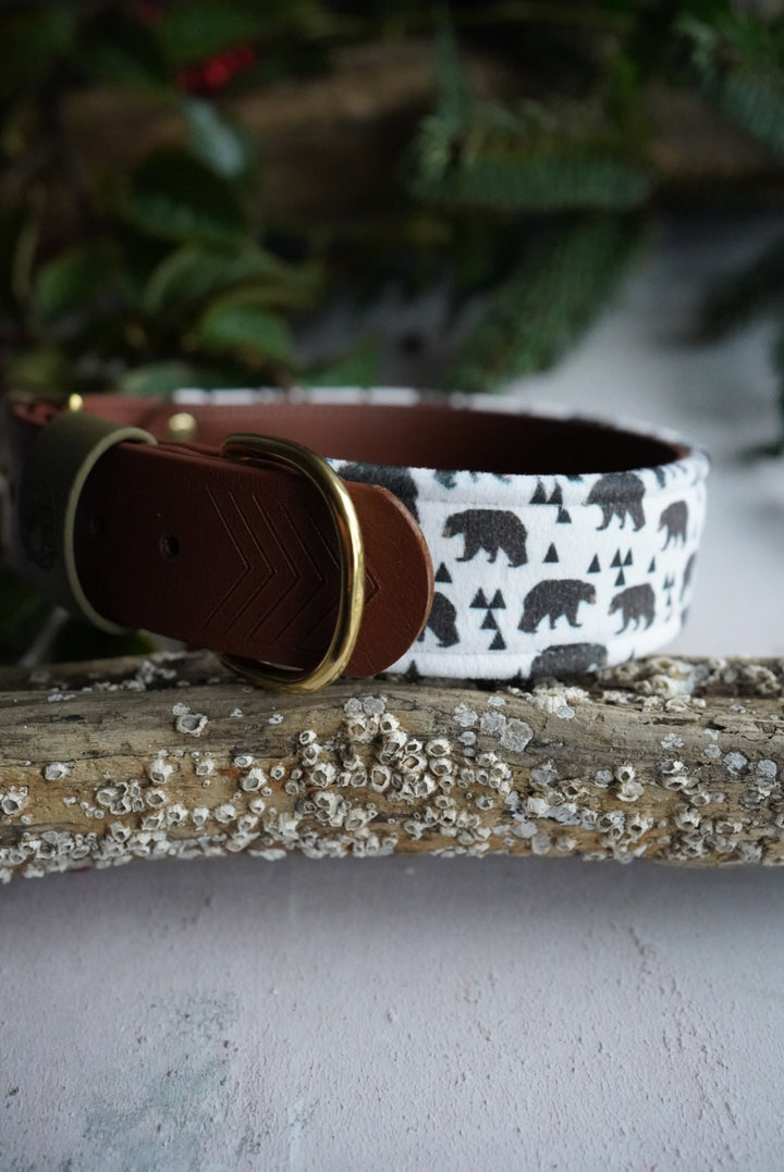 Kodiak - Luxury Buckle Collar - Velvet