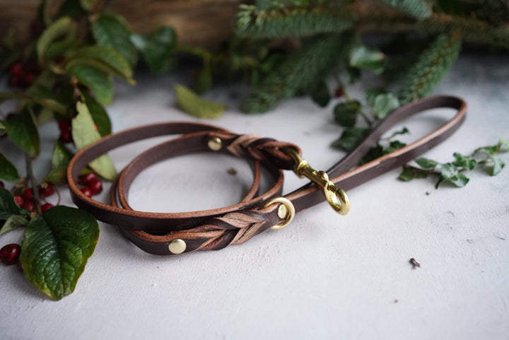 Leather Leads - Clip or Slip