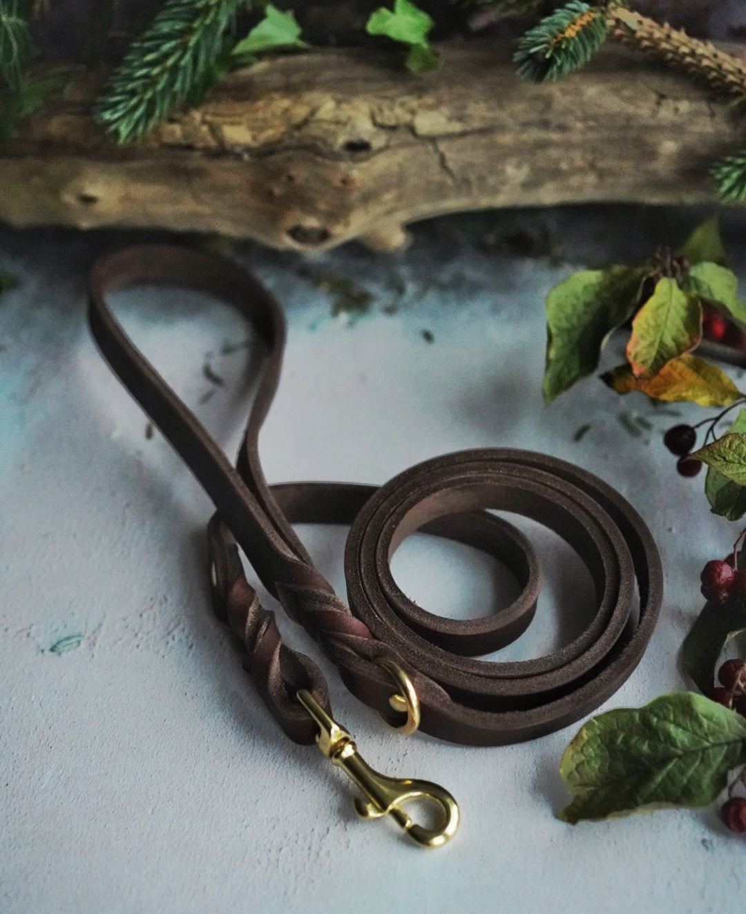 Leather Leads - Clip or Slip