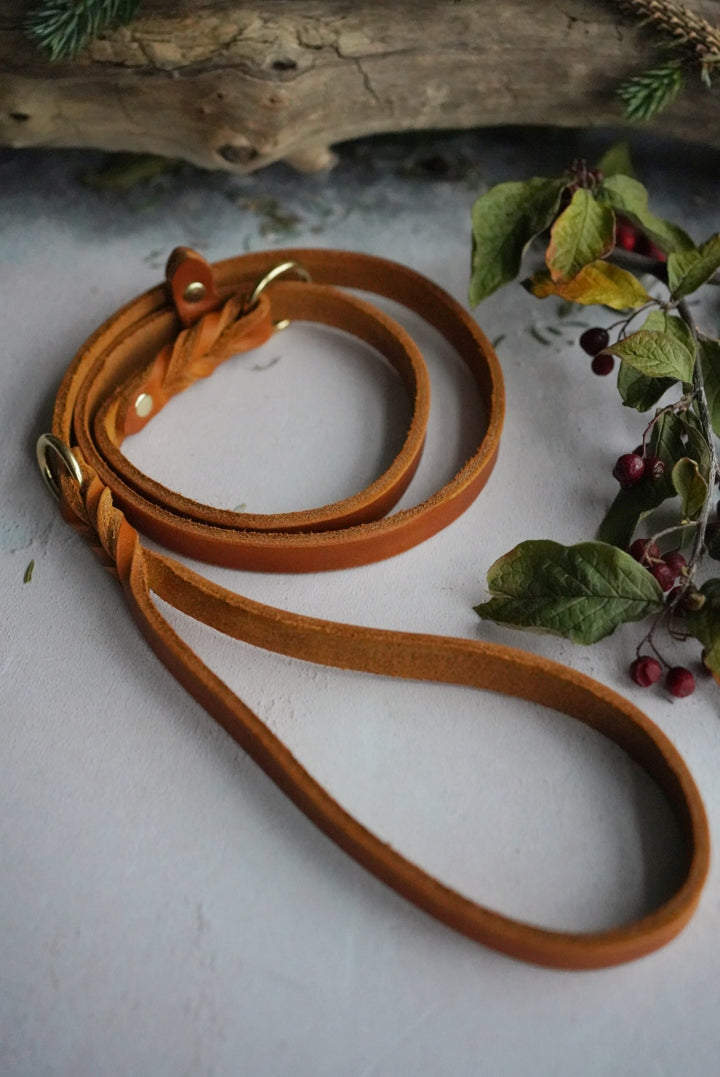 Leather Leads - Clip or Slip
