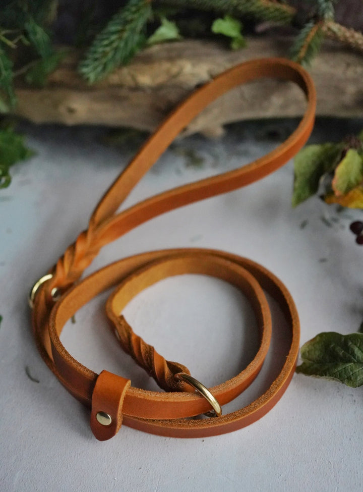 Leather Leads - Clip or Slip