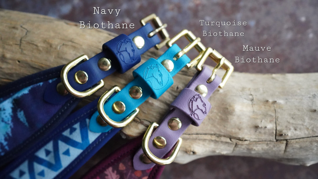 The Whispering Wood - Luxury Buckle Collar - Velvet
