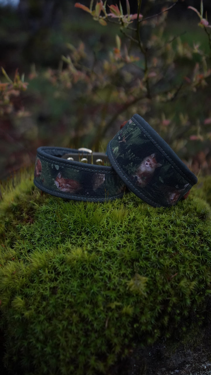 Fox Cub - Signature Collar - Velvet