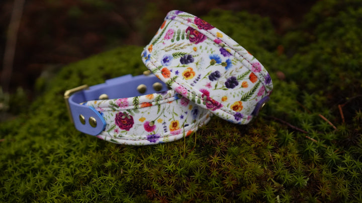 Buttercup - Signature Collar - Velvet