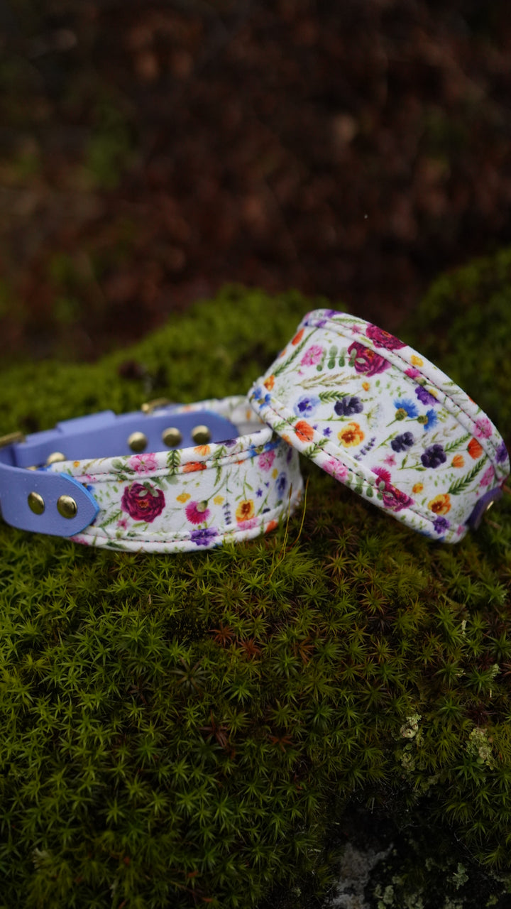 Buttercup - Signature Collar - Velvet