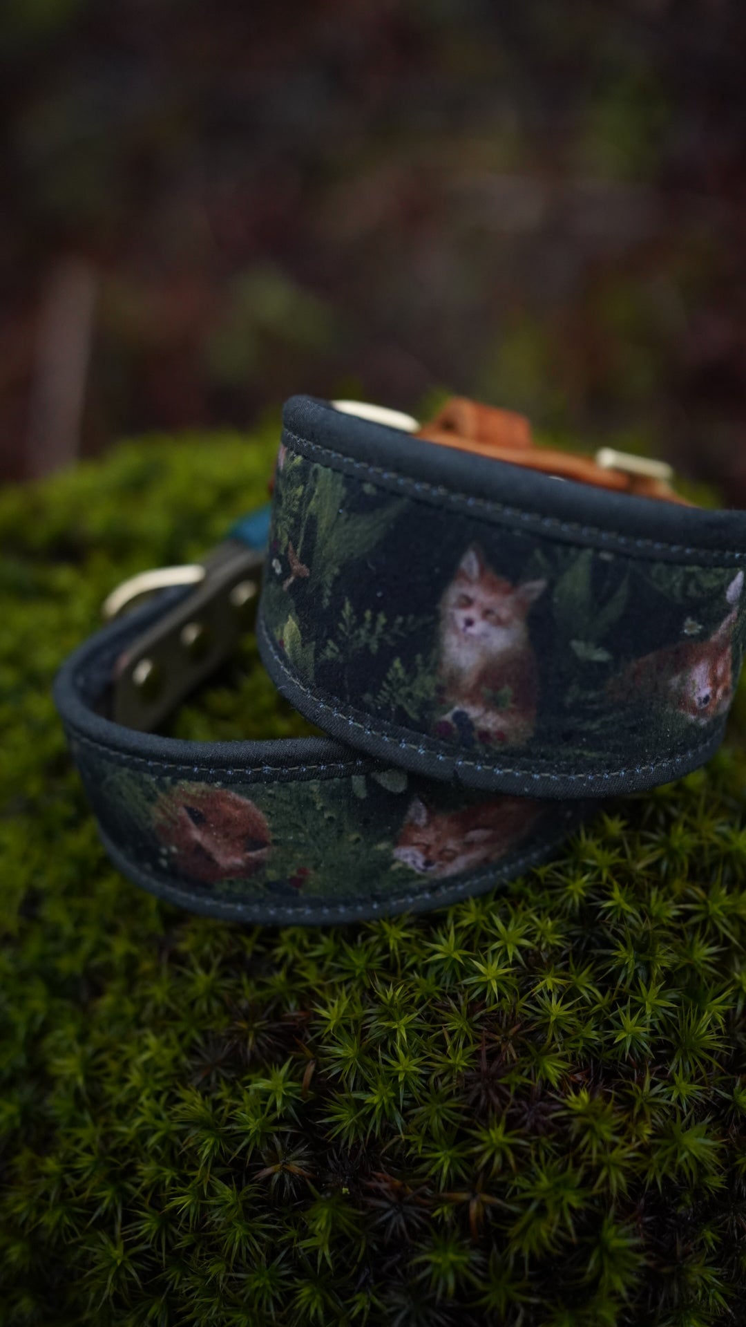 Fox Cub - Signature Collar - Velvet