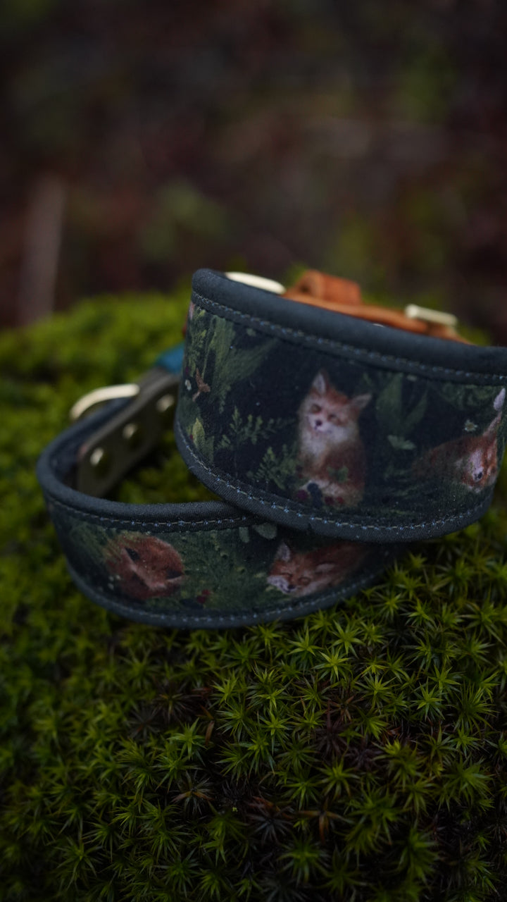 Fox Cub - Signature Collar - Velvet