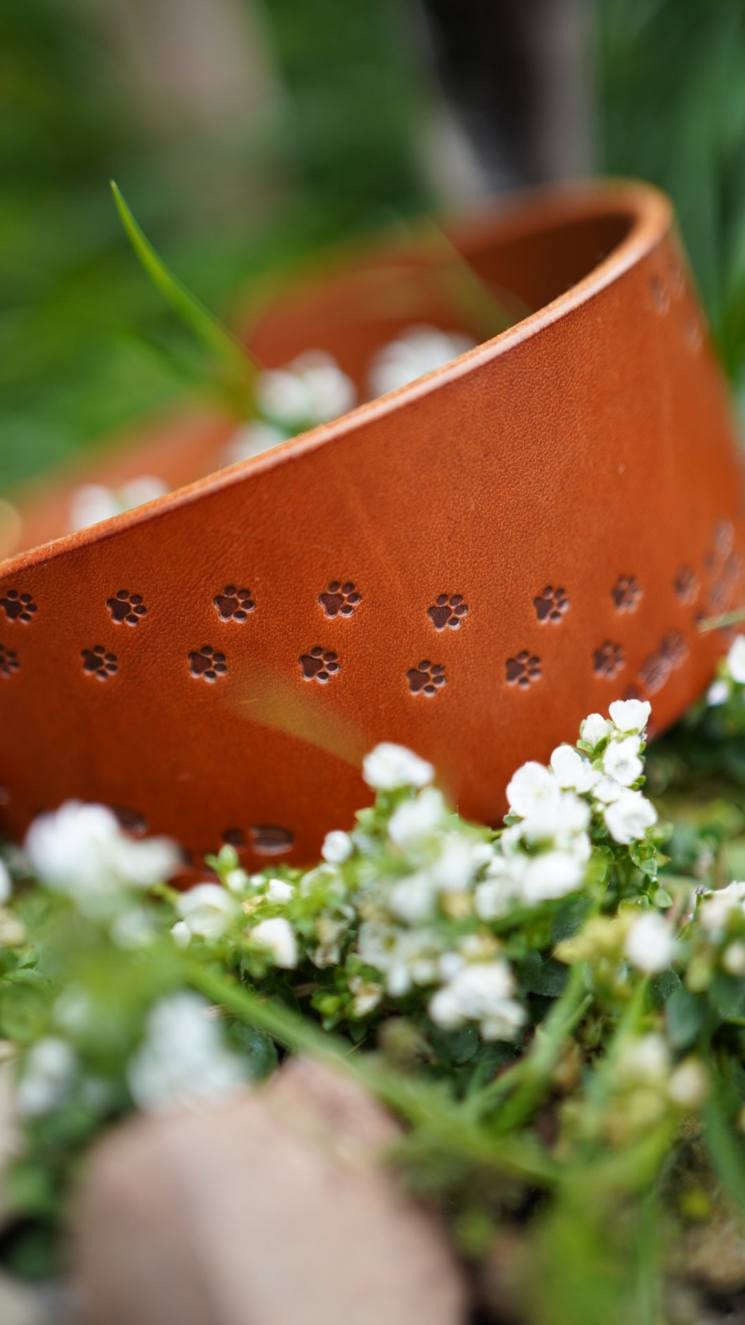 Embossed Leather Collars