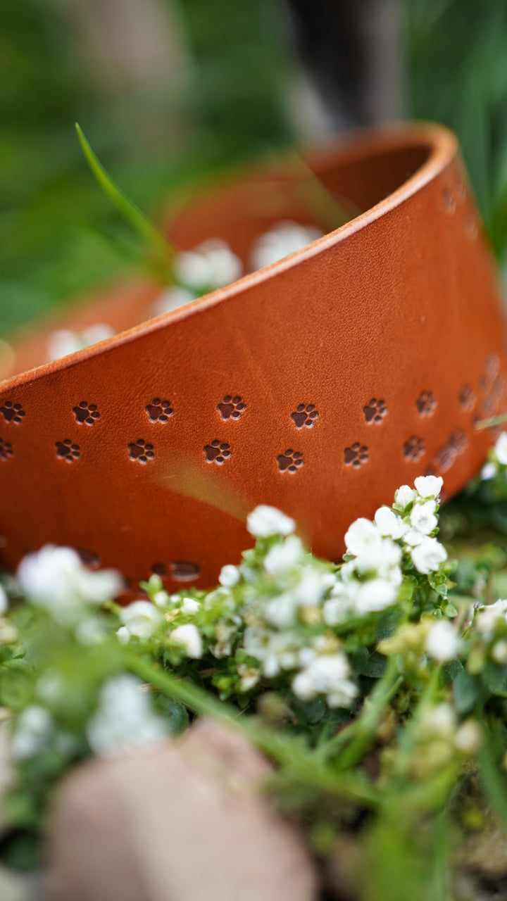 Embossed Leather Collars