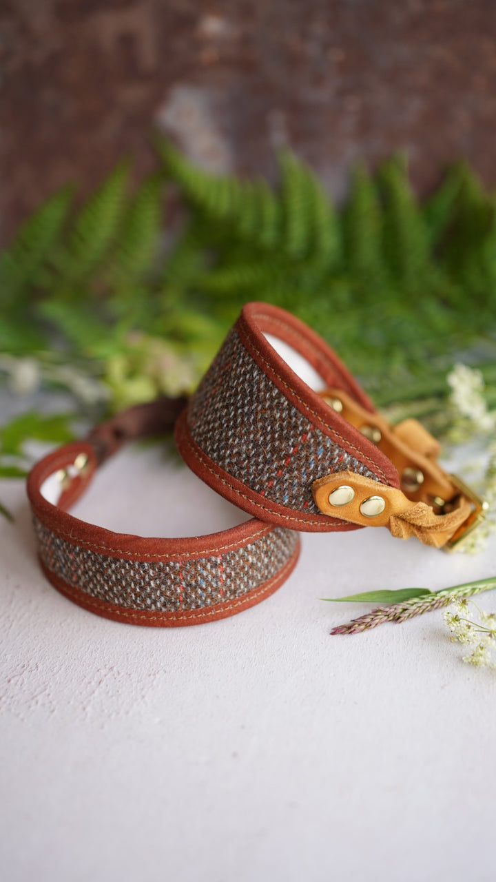Birch - Signature Collar - Wool Tweed