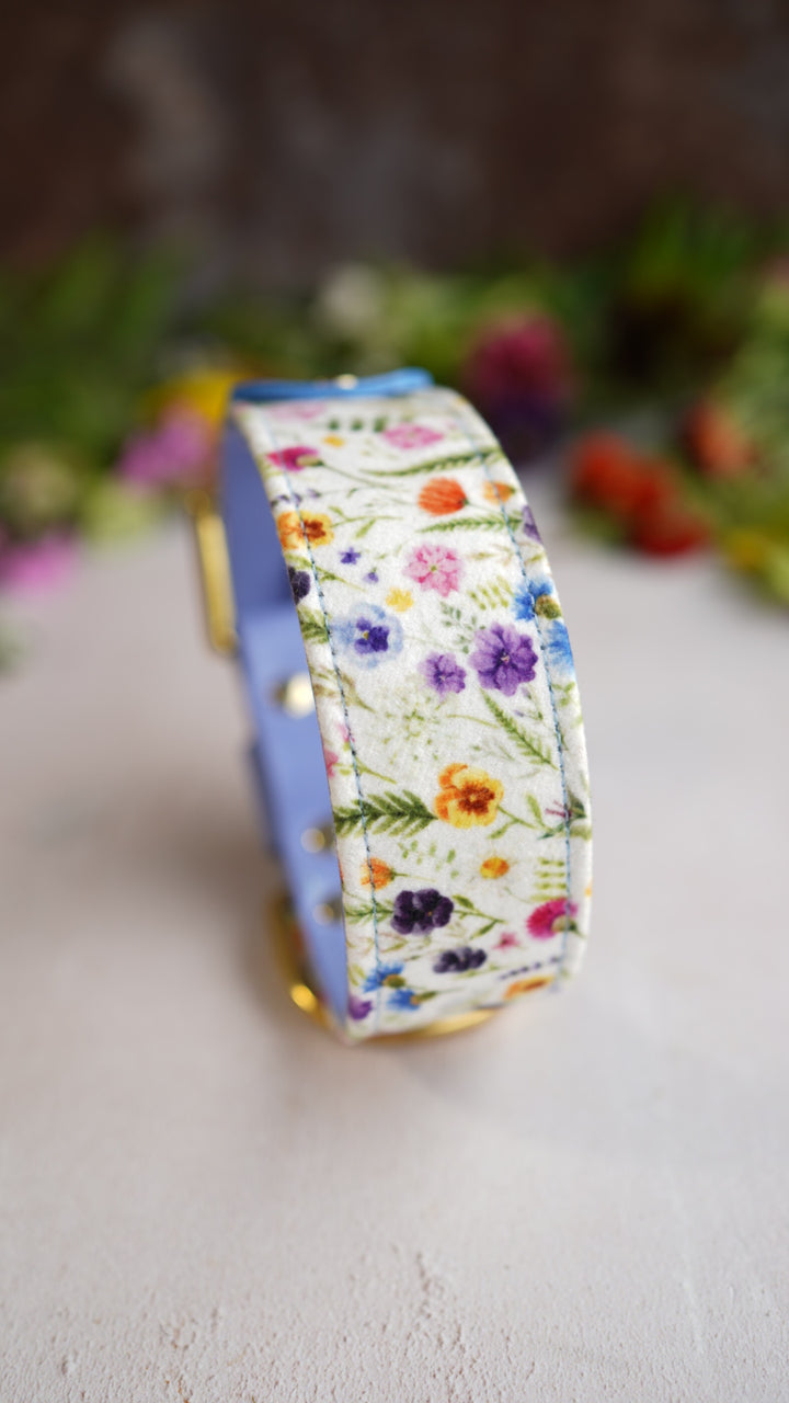 Buttercup - Luxury Buckle Collar - Velvet