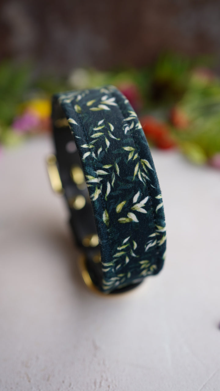 Eucalyptus - Luxury Buckle Collar - Velvet