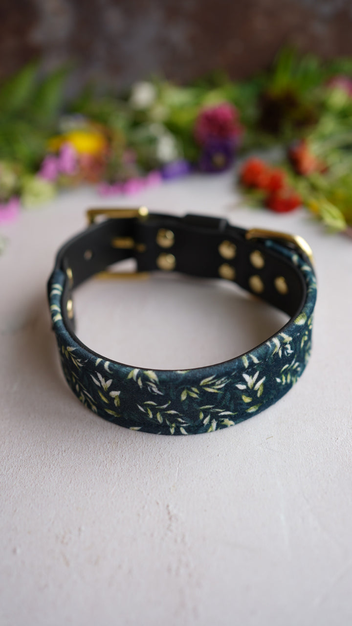 Eucalyptus - Luxury Buckle Collar - Velvet