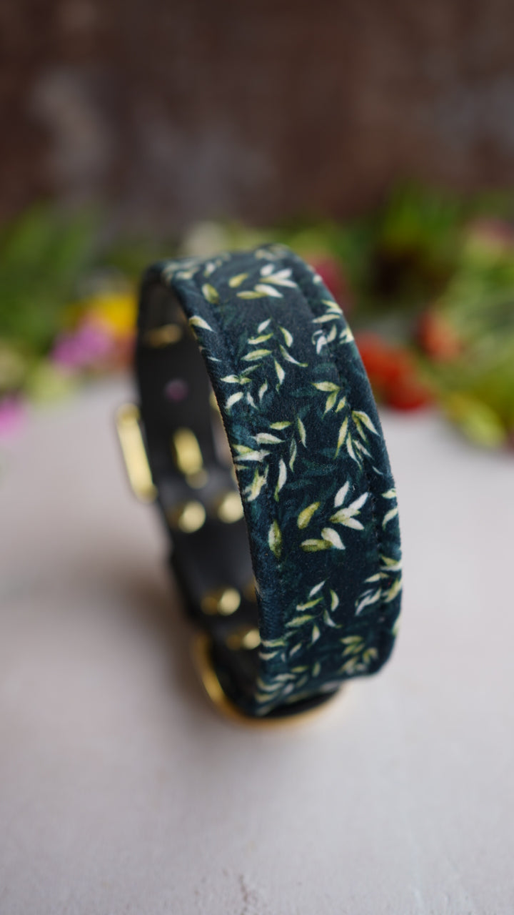 Eucalyptus - Luxury Buckle Collar - Velvet