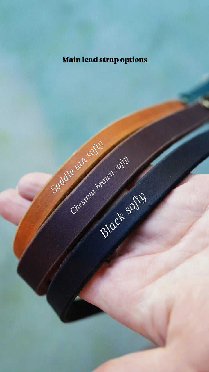 Leather Leads - Clip or Slip