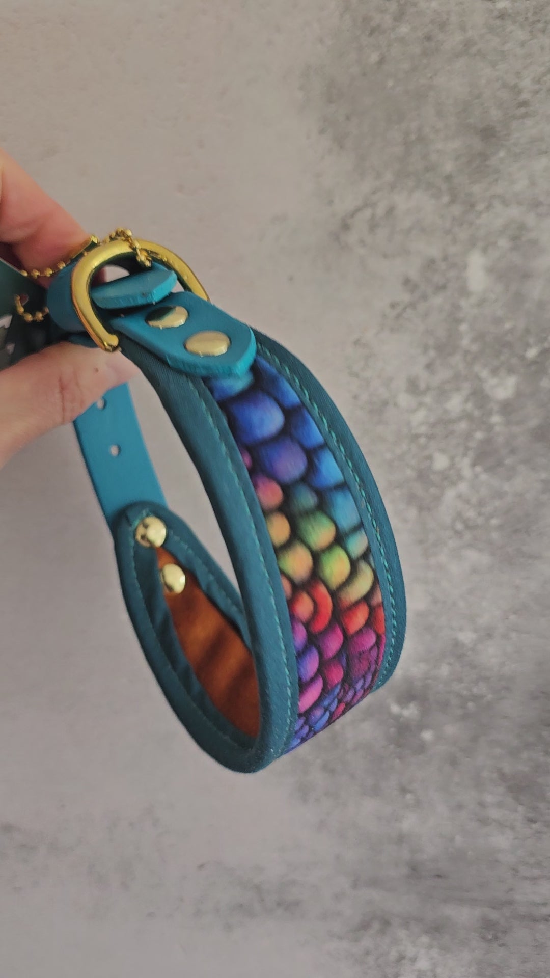 27-32cm (10.5-12.5") 20mm SLIM Signature Collar - Biothane