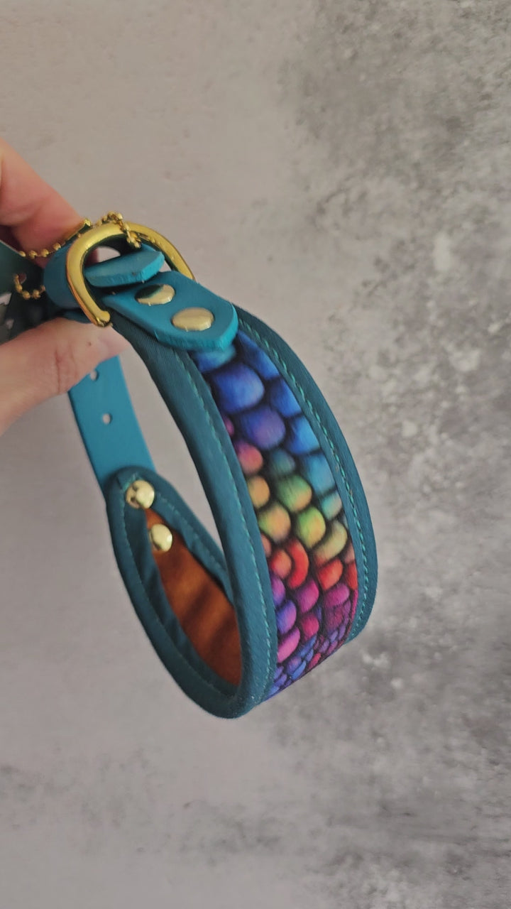 27-32cm (10.5-12.5") 20mm SLIM Signature Collar - Biothane