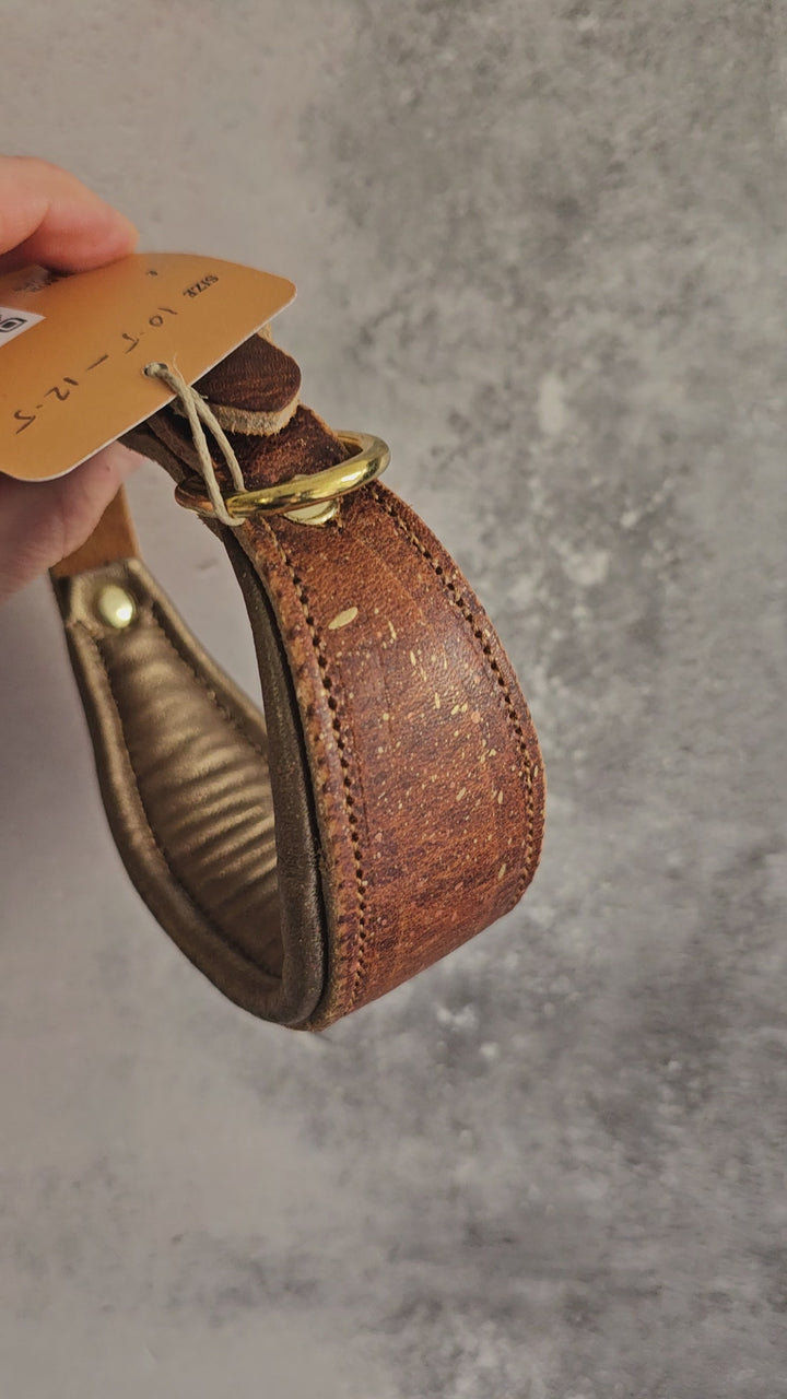 27-32cm (10.5-12.5") 20mm buckle leather padded HOUND