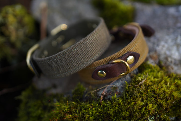 Expedition Luxury Buckle Collar - Canvas