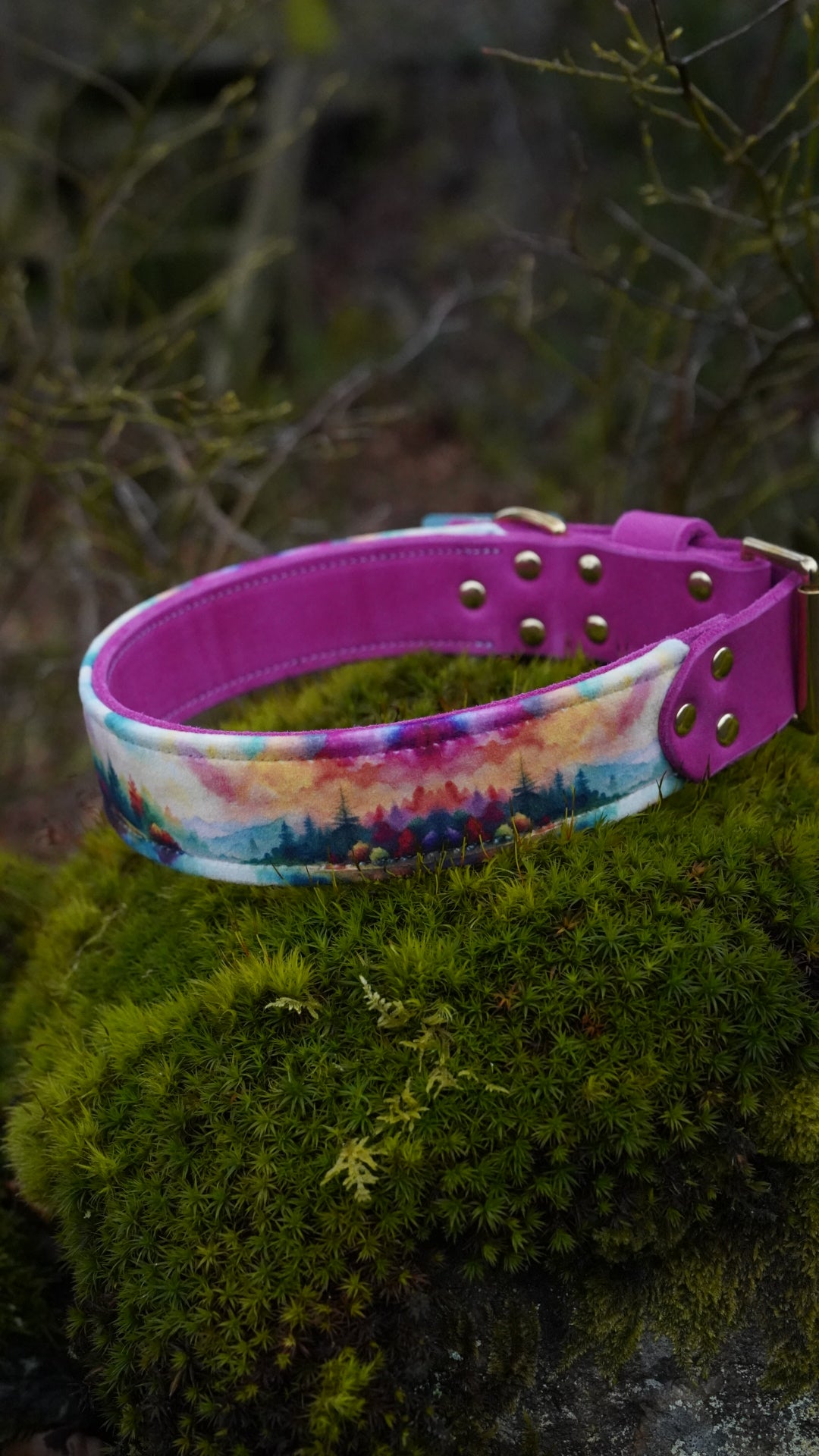 Harmony - Luxury Buckle Collar - Velvet