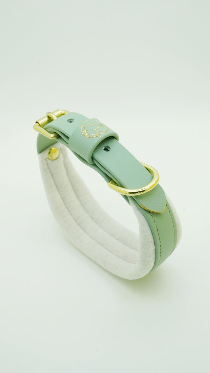 Straight Embossed Biothane Collars