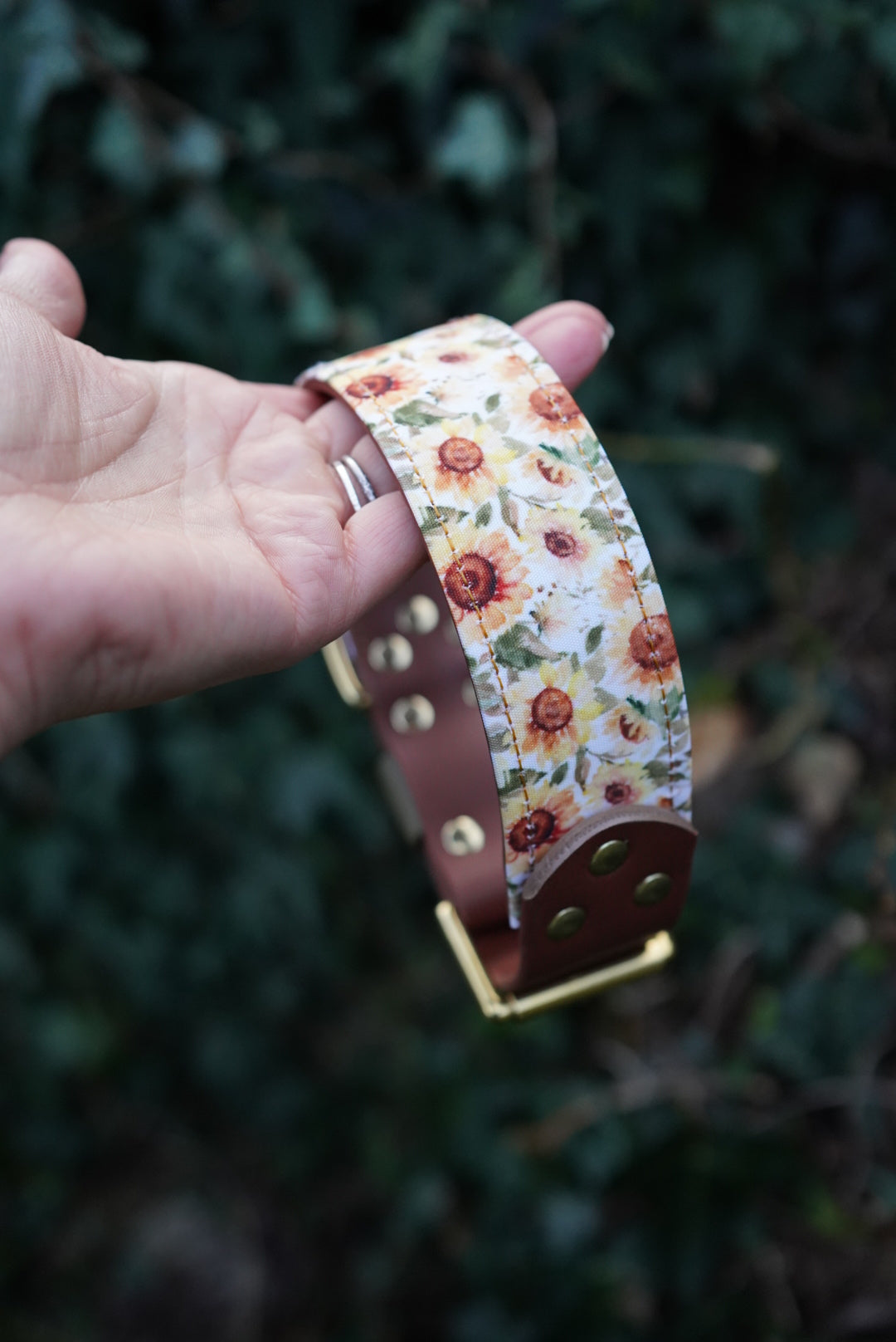 Phoenix - Luxury Buckle Collar - Canvas