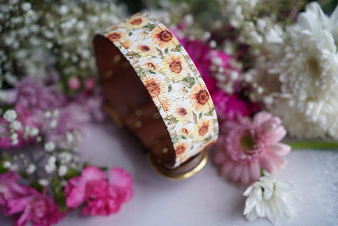 Phoenix - Luxury Buckle Collar - Canvas