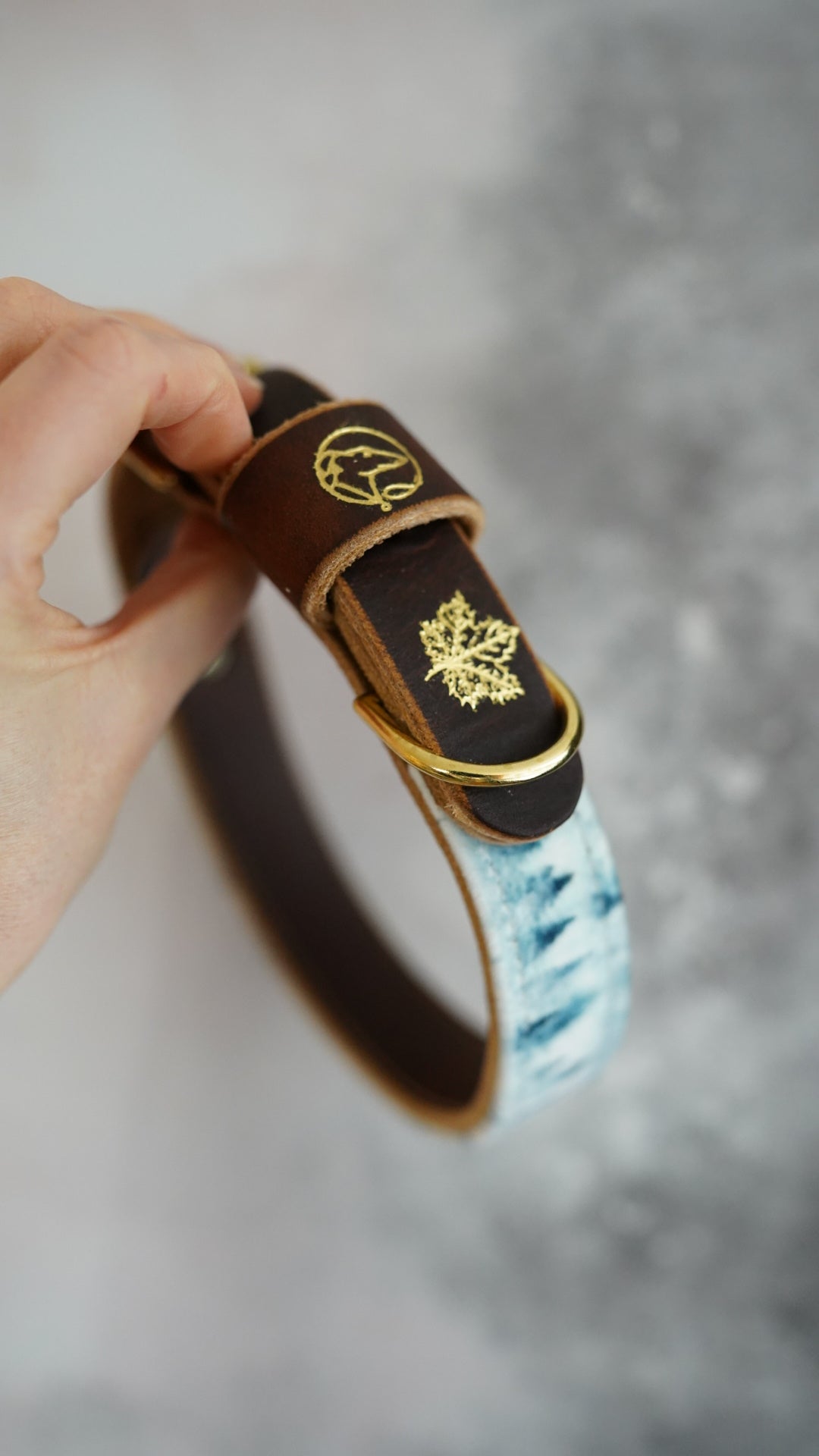 The North- Luxury Buckle Collar - Velvet