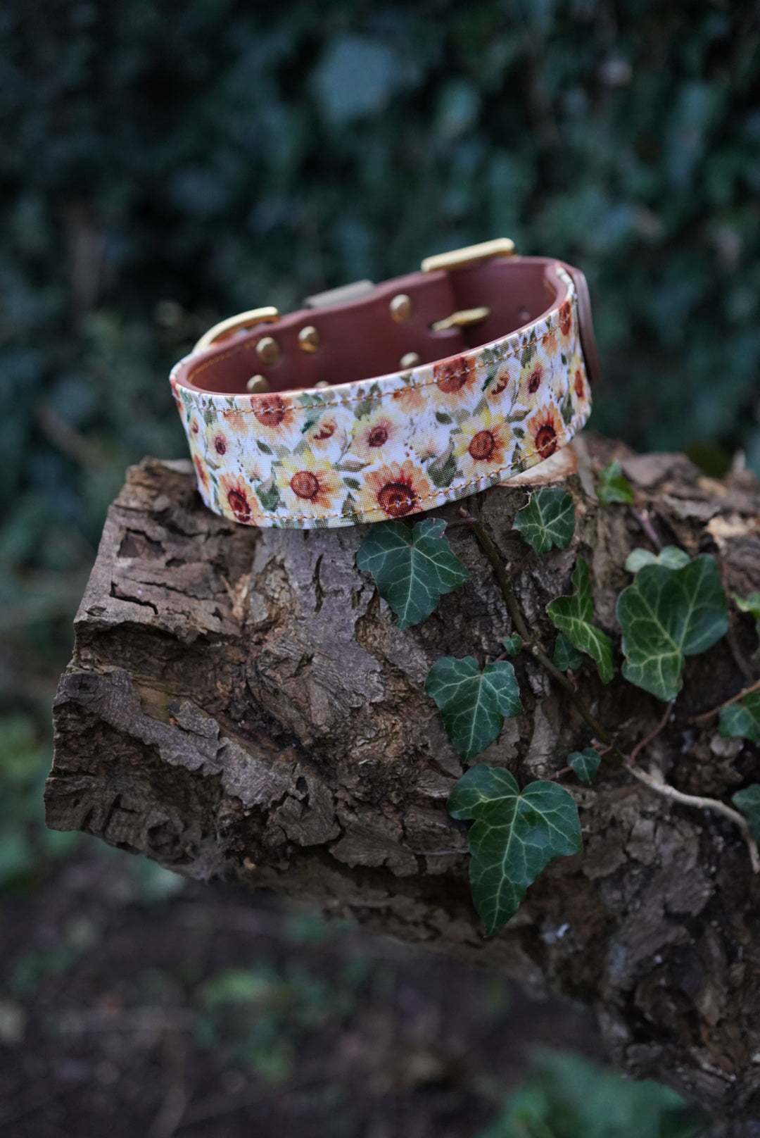 Phoenix - Luxury Buckle Collar - Canvas