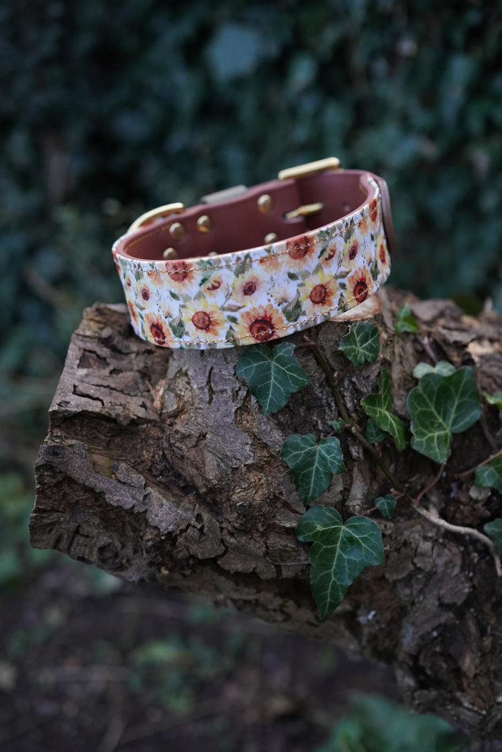 Phoenix - Luxury Buckle Collar - Canvas