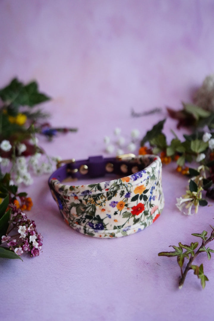Wildflowers - Signature Collar - Velvet