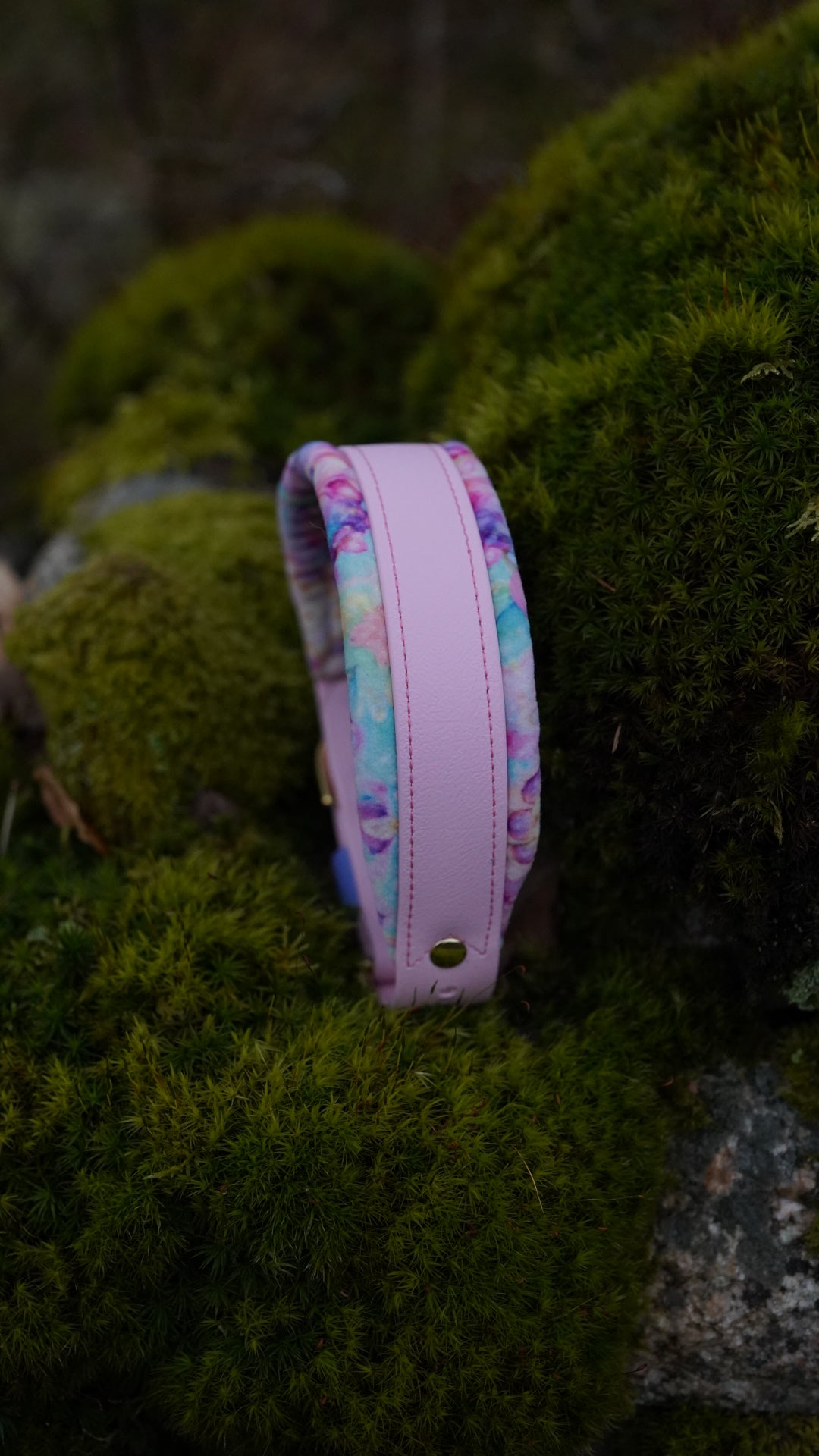Straight Collar Squashies (Biothane)