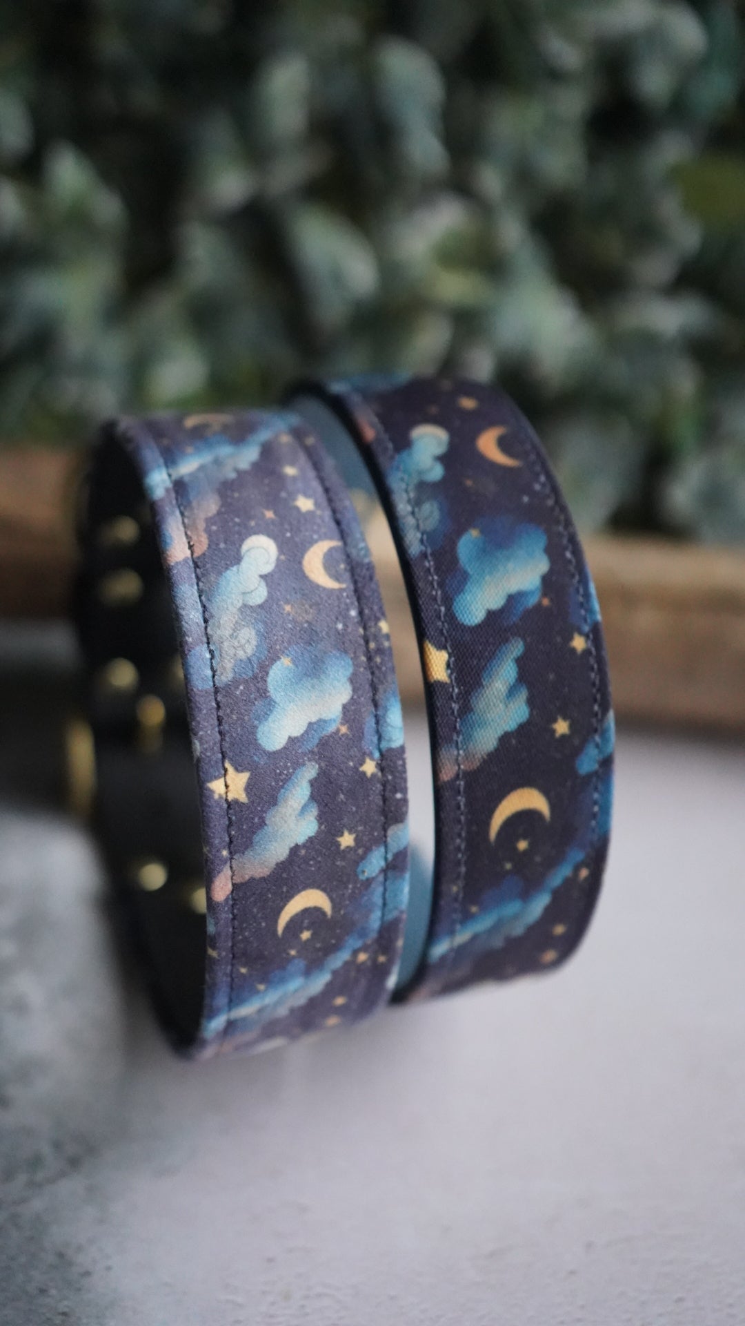 Celestial Moon- Luxury Buckle Collar - Canvas or Velvet