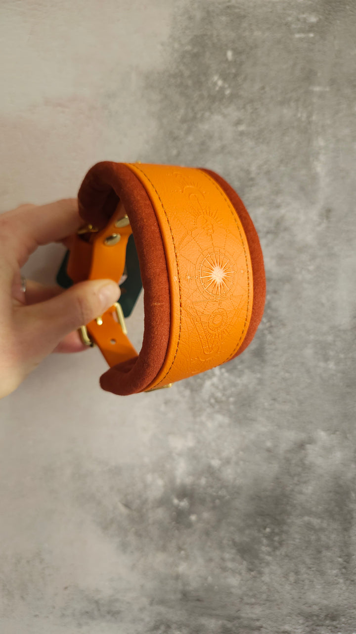 24-29cm (9.5-11.5") - 20mm buckle - HOUND Squashie (Biothane)