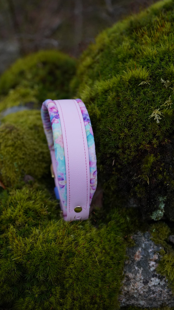 Straight Collar Squashies (Biothane)