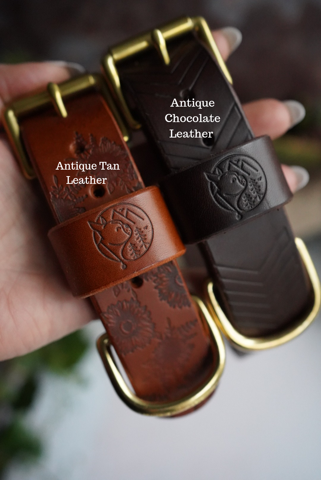 Gold Embossed Leather Regular Buckle Collars