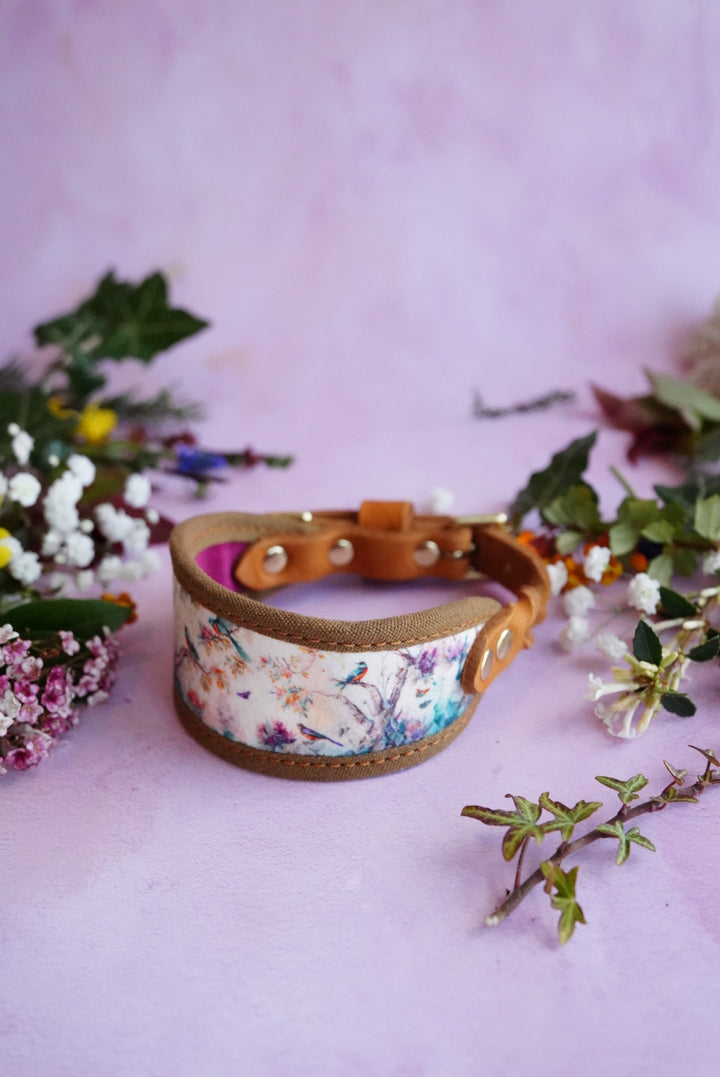 Aviary - Signature Collar - Velvet