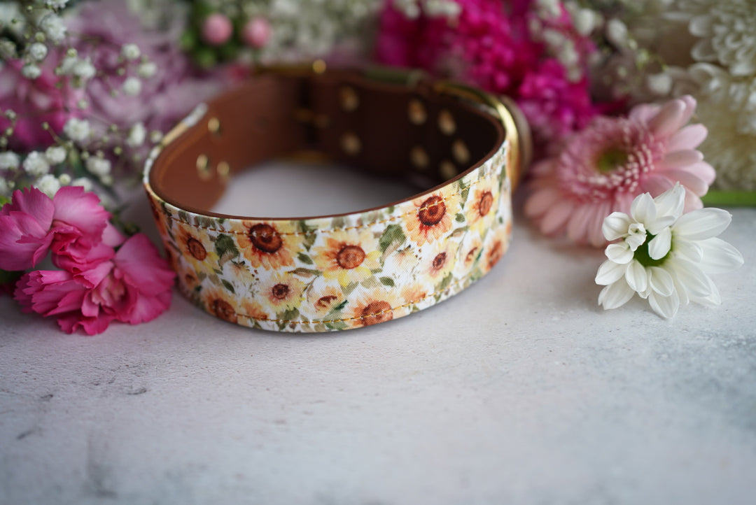 Phoenix - Luxury Buckle Collar - Canvas