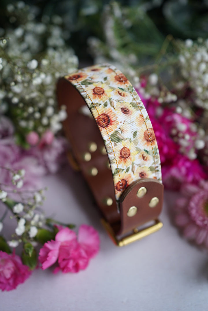 Phoenix - Luxury Buckle Collar - Canvas