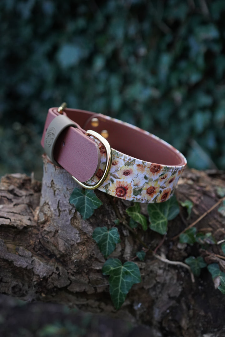 Phoenix - Luxury Buckle Collar - Canvas