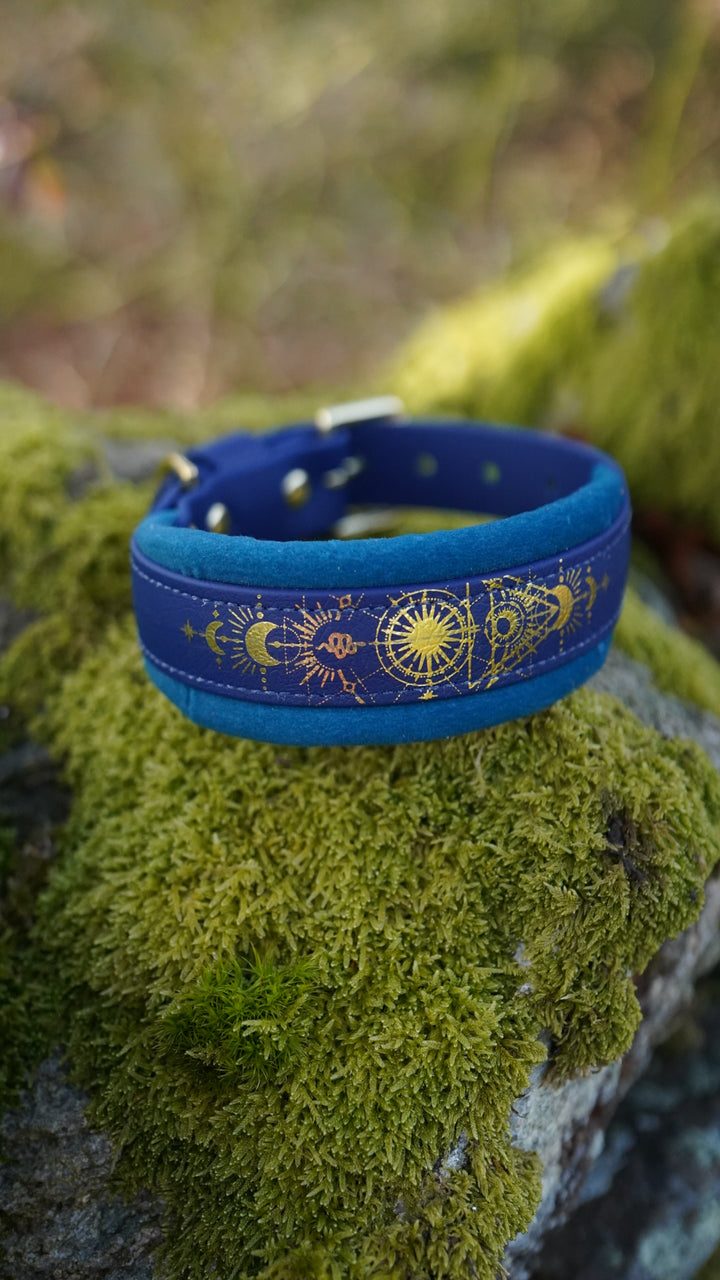 Straight Embossed Biothane Collars