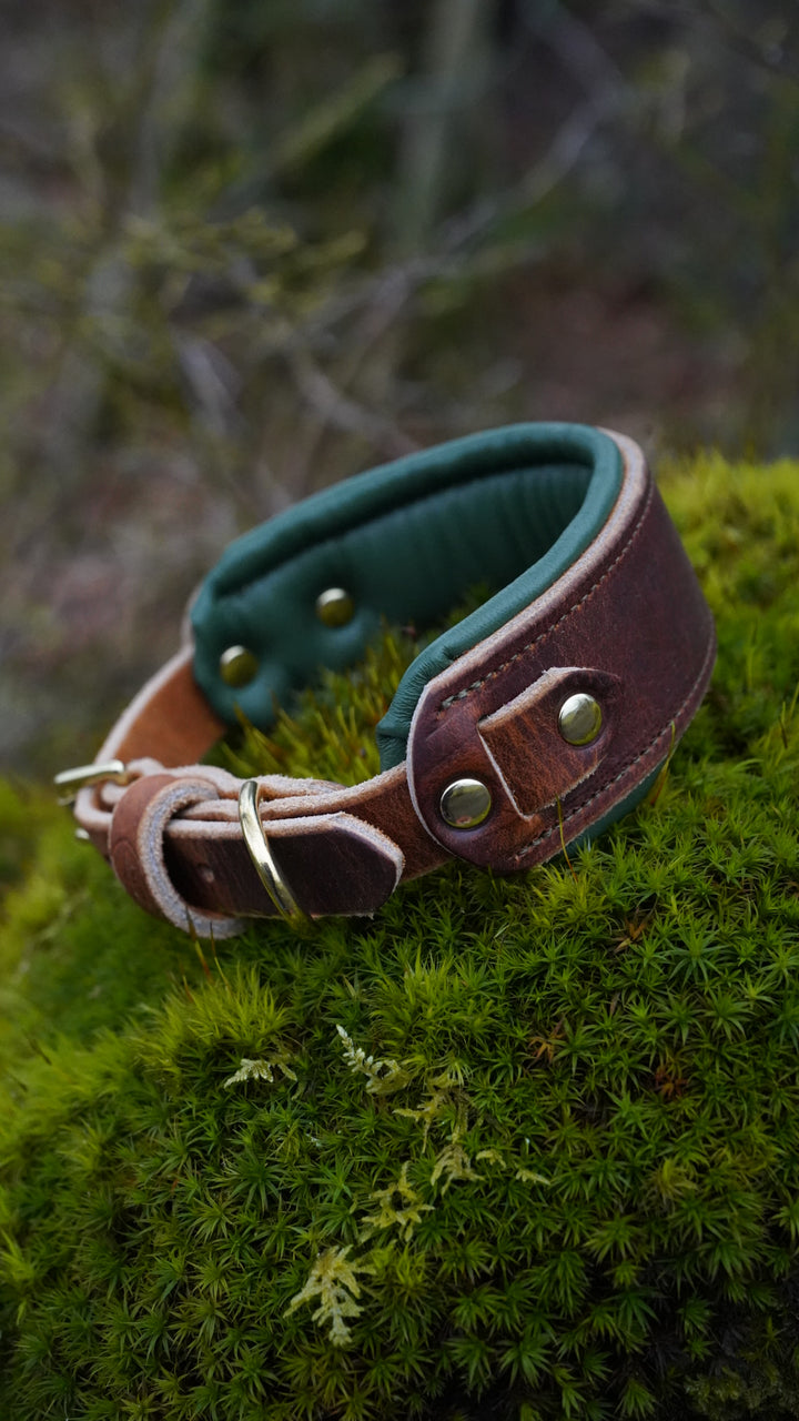 Softy Leather Collars