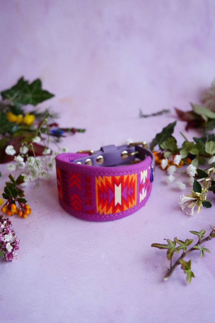 Alpenglow - Signature Collar - Velvet