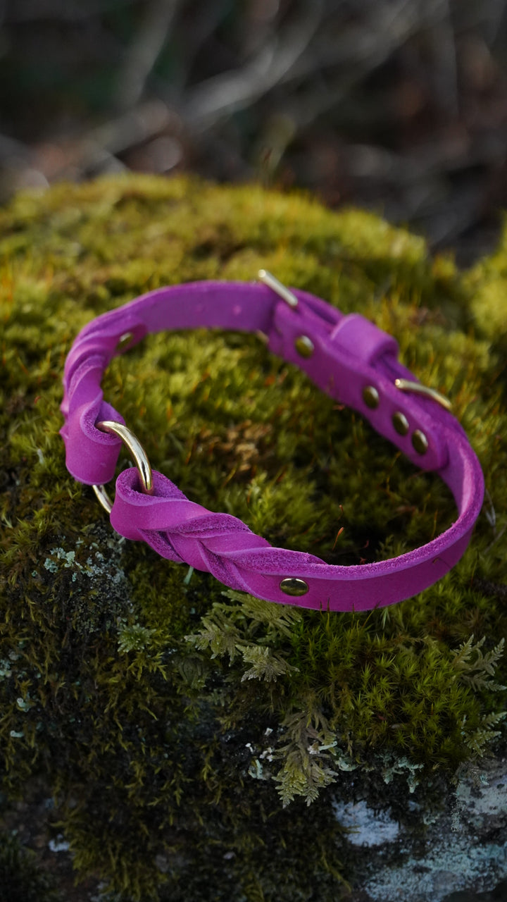 Braided Leather Collars
